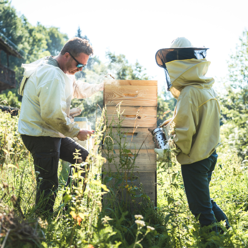 Vorbestellung Bio Waldhonig Seidlhof